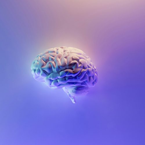 milad-fakurian-58Z17lnVS4U-unsplash