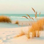 plage – sophrologue-hypnose Sylvie Laforet plage - sophrologue-hypnose Sylvie Laforet